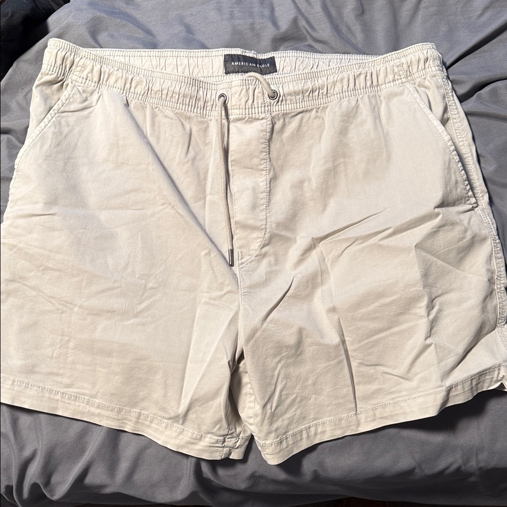 American Eagle Outfitters Light Tan Men's Shorts
